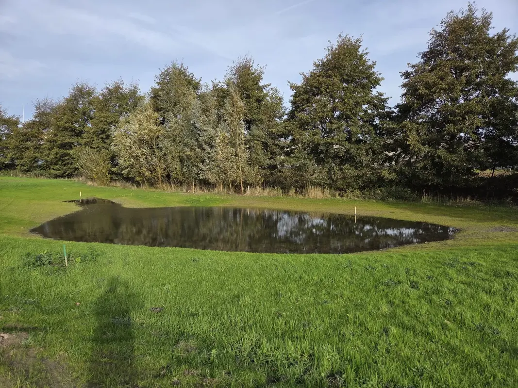 Natuurvriendelijke Oevers