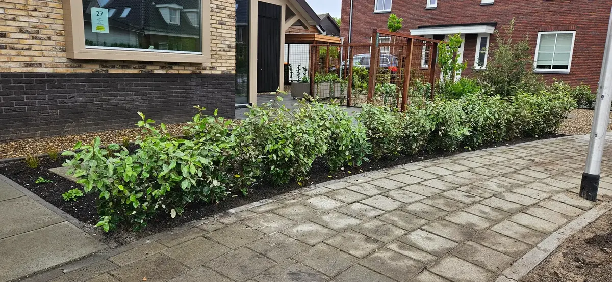 Tuinonderhoud