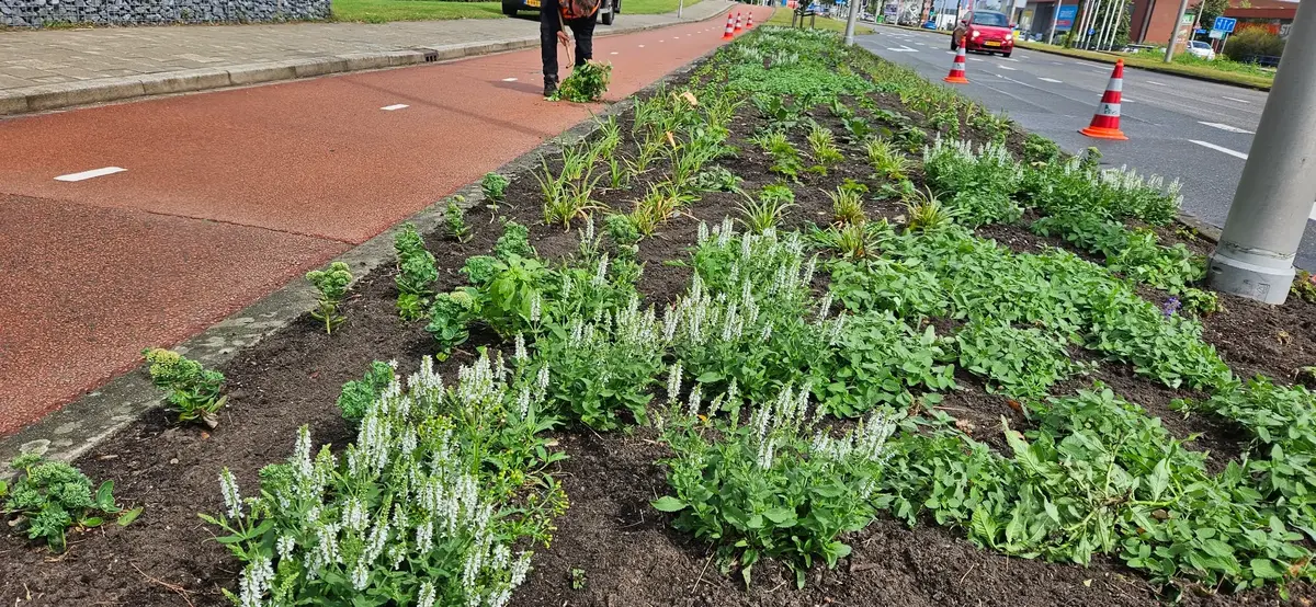 Tuinonderhoud